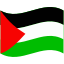 Palestine Flag